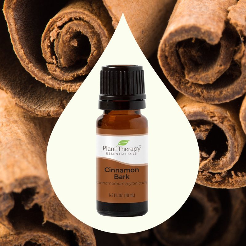 Cinnamon Bark 02 10mL 1