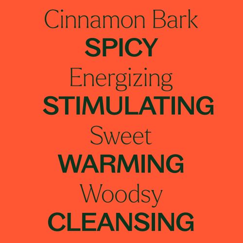 Cinnamon Bark 04 1