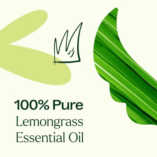 Lemongrass 03Large