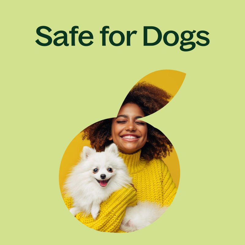 Safety Dogs