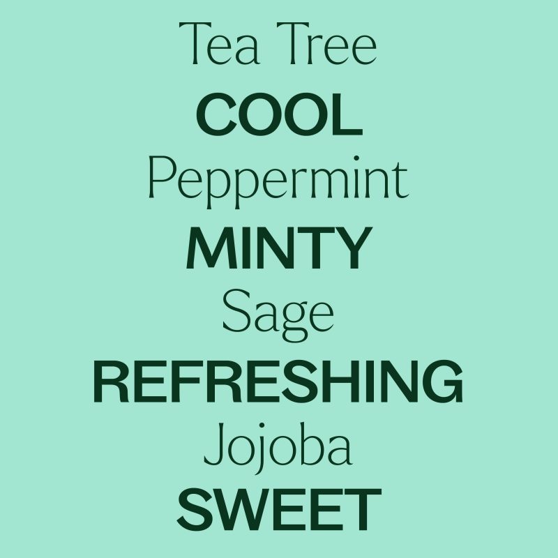 TeaTree Peppermint Amazon Images 04