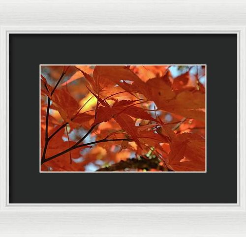 autumn i earthwise designs 04e41340 ca64 4ec0 b21e b9a4dfbc1837