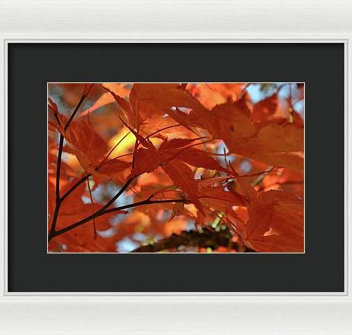 autumn i earthwise designs 25fca2e3 d0dc 4947 a9e0 2cd46da8596a