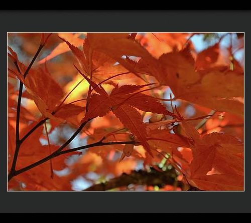 autumn i earthwise designs 3d26f0c9 5a00 47ea a57b 5b6713709892