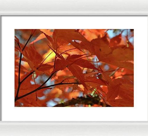 autumn i earthwise designs 6eb76513 07e9 44ba 9df1 e1188bf2ba6b