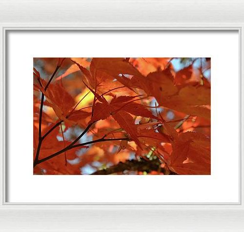 autumn i earthwise designs ca66c4f8 2aba 4804 8a3d eb7d95ade24e