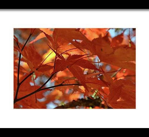 autumn i earthwise designs cb50d5bc ec48 4407 9c25 02c93f7a1827