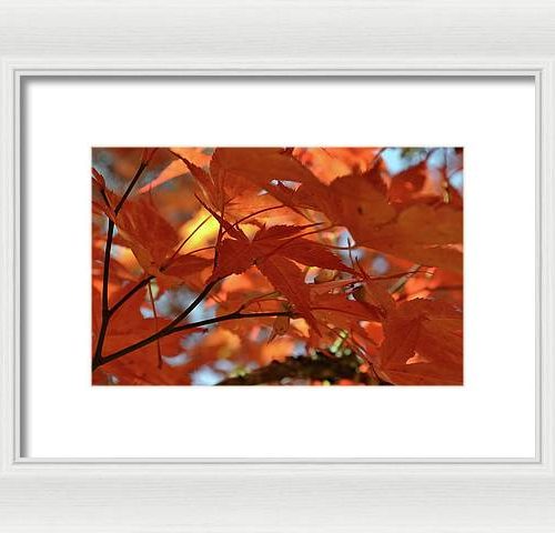 autumn i earthwise designs fc930474 9ac7 40c9 a77e db4d76d6d661