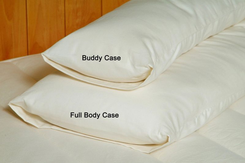 bodyandbuddycase 1024x1024 2x 1174759f 3eb5 46d7 b5b4 5d836ad6625c