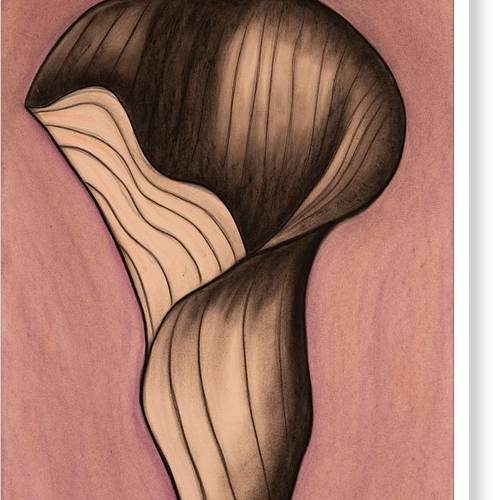 calla i earthwise designs canvas print 4a558152 5ea1 460b 9a96 1b6045975a14