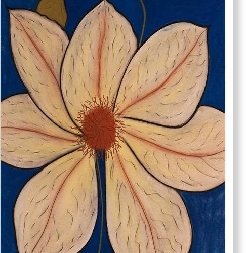 clematis earthwise designs canvas print 12dac07f 48a6 42e0 ae03 67e2f340b2ed