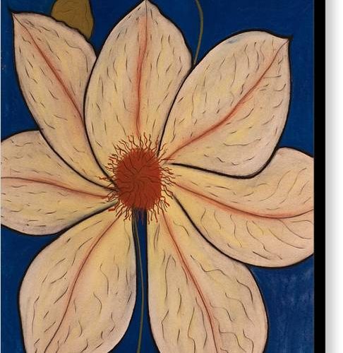 clematis earthwise designs canvas print eae56f39 6434 4aa8 89c5 b58fe402f0d8