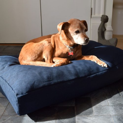 Bean Products Premium Hemp Dog Bed - Latex Filling - Natural Linens