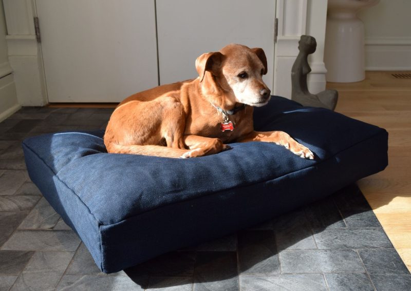 Bean Products Premium Hemp Dog Bed - Latex Filling - Natural Linens