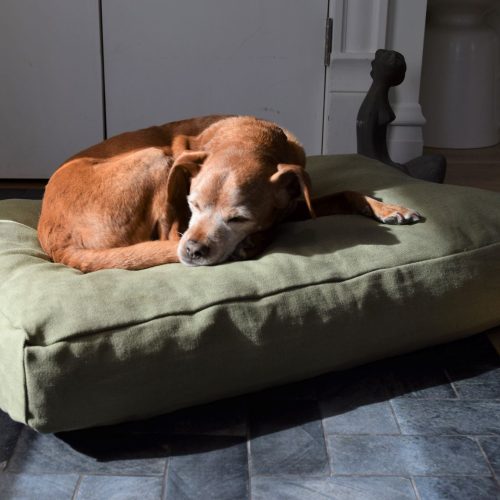 Bean Products Premium Hemp Dog Bed - Latex Filling - Natural Linens