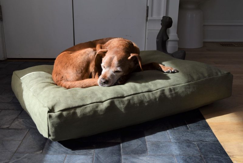 Bean Products Premium Hemp Dog Bed - Latex Filling - Natural Linens