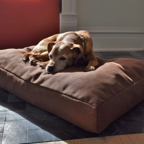 Bean Products Premium Hemp Dog Bed - Latex Filling - Natural Linens