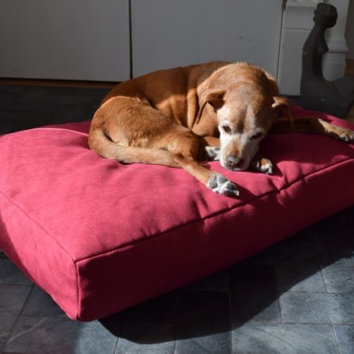 Bean Products Premium Hemp Dog Bed - Latex Filling - Natural Linens