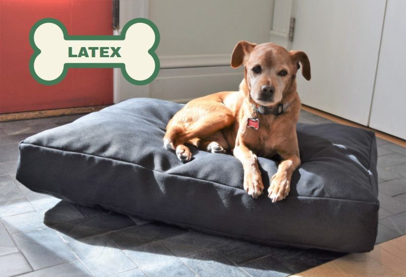 Bean Products Premium Hemp Dog Bed - Latex Filling - Natural Linens