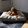 Bean Products Premium Hemp Dog Bed - Latex Filling - Natural Linens