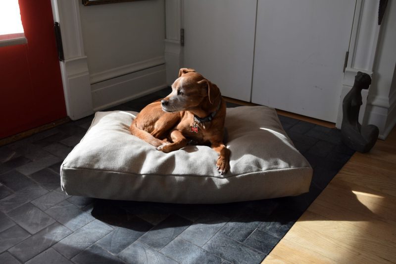 Bean Products Premium Hemp Dog Bed - Latex Filling - Natural Linens