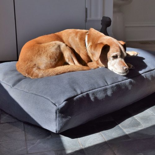 Bean Products Premium Hemp Dog Bed - Latex Filling - Natural Linens