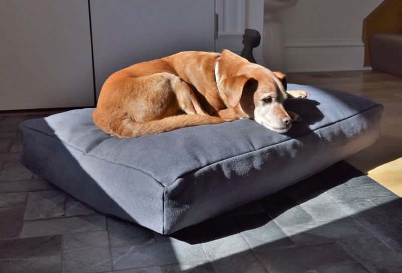 Bean Products Premium Hemp Dog Bed - Latex Filling - Natural Linens