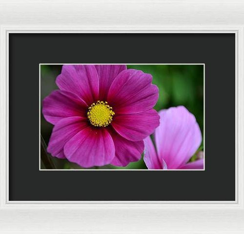 cosmos i earthwise designs c45dbd9a 7856 4398 8b5a 311bda89fa27