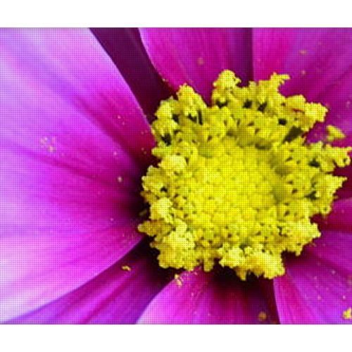 cosmos ii earthwise designs 6ba6dc30 dc89 4745 bf4b 1d8f09d33b24