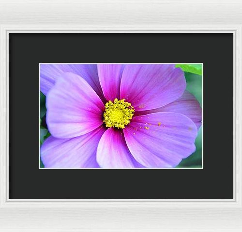 cosmos ii earthwise designs e2c21505 9cde 45ca 8fac ddfa6278d50c