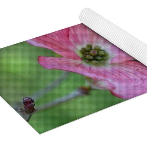 dogwood i earthwise designs 3e001c6d 5e27 47ad 8eaf d813c9b93ab7