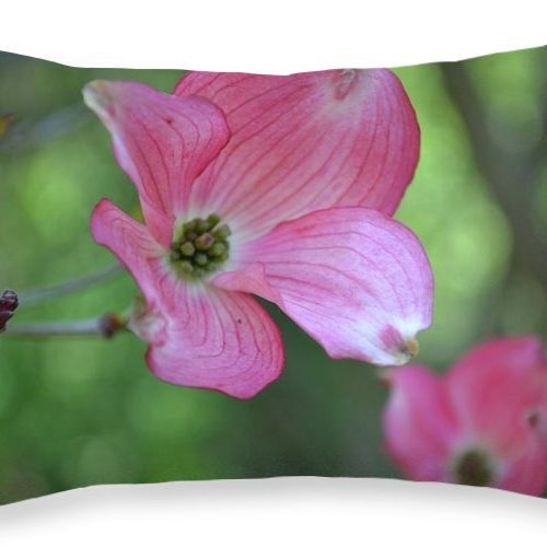 dogwood i earthwise designs e2039199 0a24 453d 93a5 a85d72b32151