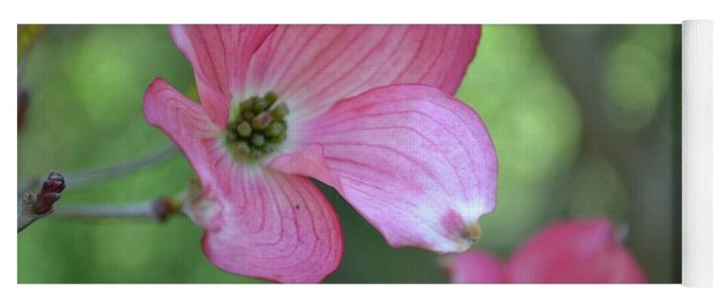 dogwood i earthwise designs eb7a0188 b558 492f 9ac4 8c590fced290