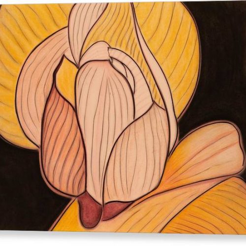 evening petals earthwise designs canvas print 02eb8794 319d 4b3d 825d e08e988e6b34