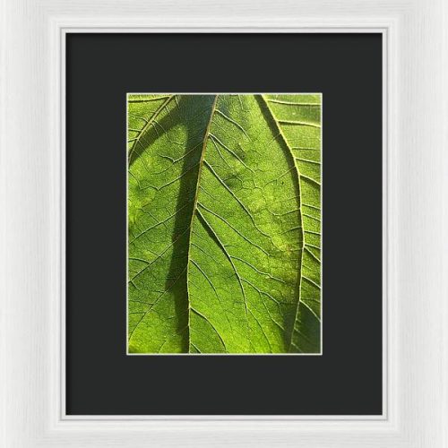 leaf i earthwise designs baf90be5 163a 4477 a04f be22043b8935