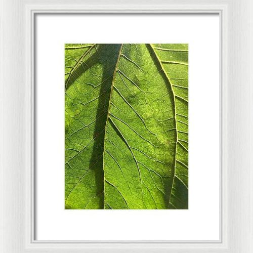 leaf i earthwise designs c8299ab7 faf5 4750 95fe b55fb5650e6e