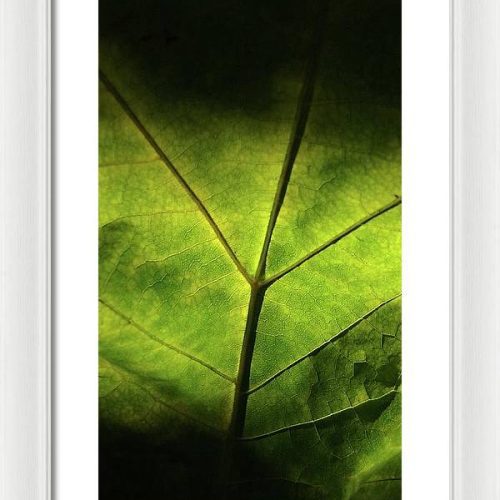 leaf ii earthwise designs 327b00a2 2db9 4ffc 8122 788b9a8065fd