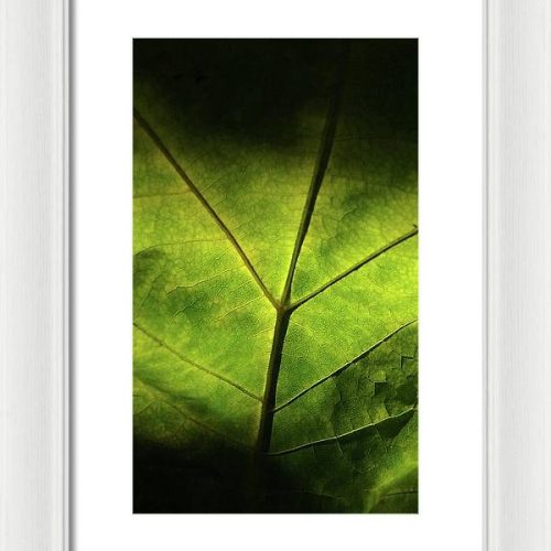 leaf ii earthwise designs a653e712 70f3 466d 884a 5ad2a8cc3adb