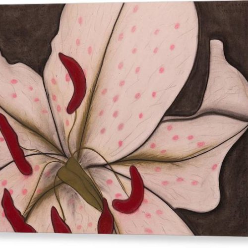 lily i earthwise designs canvas print 087c2a0b f23b 46c9 afca c6cb20e307e8