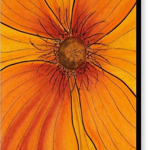 orange glow earthwise designs canvas print 1638a70a cdac 4870 b04d 659e4f1ca8ee