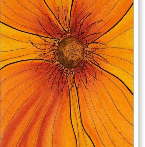 orange glow earthwise designs canvas print b488365c 9b9f 4a3b 97fb 08af146ec40c