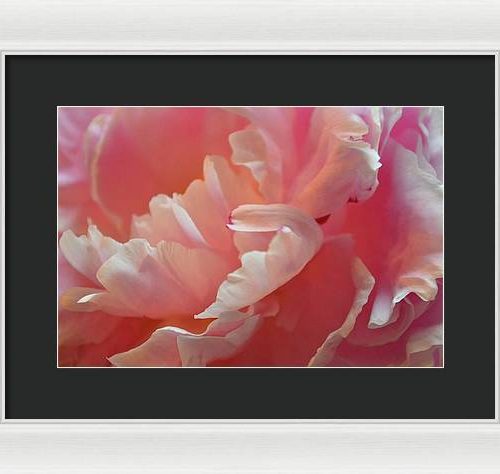 peony i earthwise designs 2101a8a9 f88d 4e49 957b 03623a3a7264