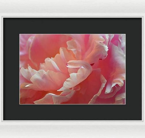 peony i earthwise designs 7f57406b 136b 4b32 a162 f15ca67b7840