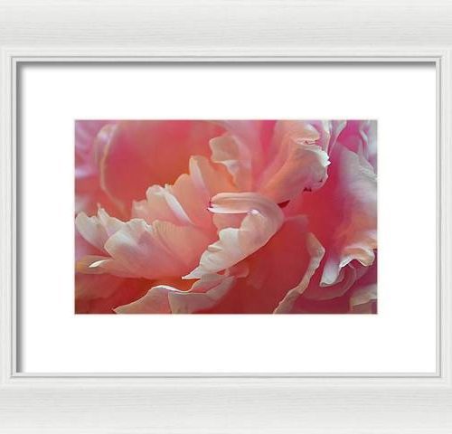 peony i earthwise designs b6b13f0a 7e57 41d0 9d3e e513233c005e