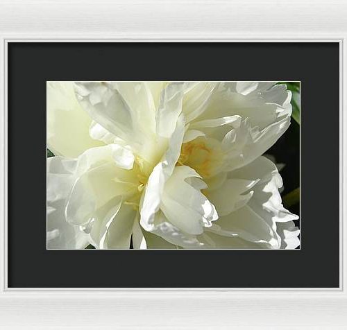 peony ii earthwise designs 5ea9b7dc bbaa 46cb 9a03 a5c079d1035e