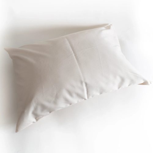 pillow protector standard 03 2000x2000 a9c9de89 bb19 4197 bdbb 59746aa6b086