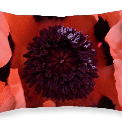 poppy i earthwise design 8877c3dc ed01 4117 9400 c5c7bb93cbaf