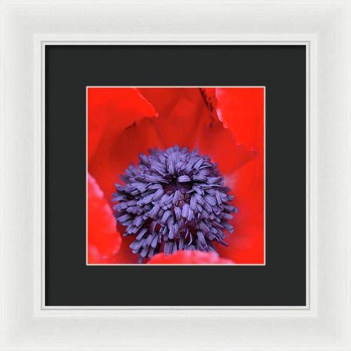 poppy ii earthwise designs 19ce41d9 d928 4af2 b7ba ee5c45a14471