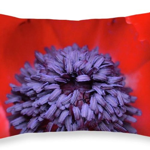 poppy ii earthwise designs 9f32e2cd 2929 493d ab1c 6b5ba364e539