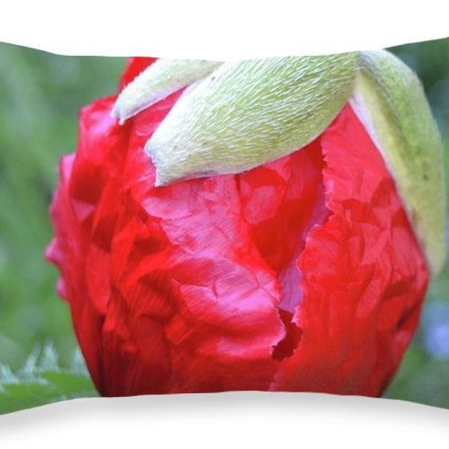 poppy iii earthwise designs 845c1888 7903 4007 b51d e87450a4c923